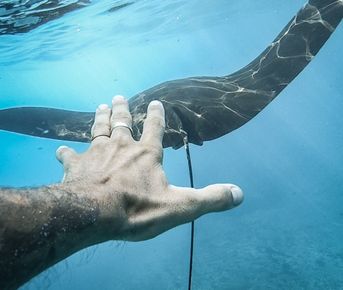 Улётные 10 Дней на 2 острова (Бали и Нуса Пенида)