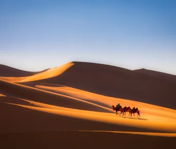 Монголия. Путешествие в сердце вечности