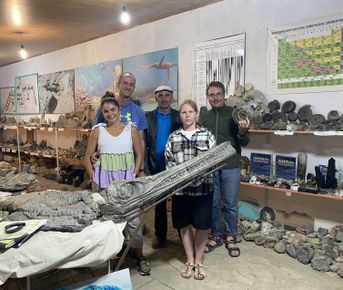 Аммониты Юрского и Мелового периодов