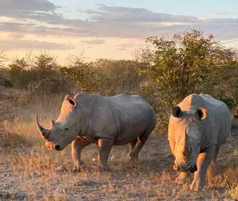 Экспресс-тур с личным гидом