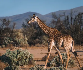Юар. Водопад. Ботсвана