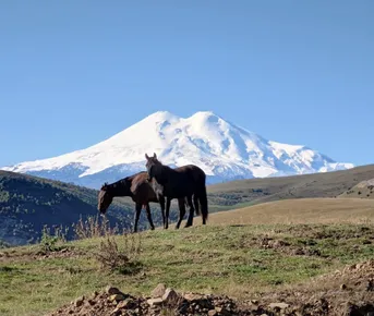 Архыз (Эльбрус) и Домбай в одном мега-путешествии! Индивидуально!