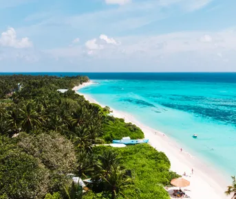 Тропическая дача: райский дайвинг, акулы и релакс