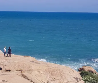 Первое знакомство с островом Цейлон