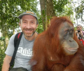 Орангутаны Борнео и Суматры