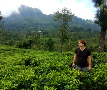 Все сокровища Шри-Ланки за 4 дня