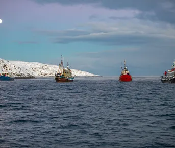 В Териберку за Северным Сиянием и Китами.