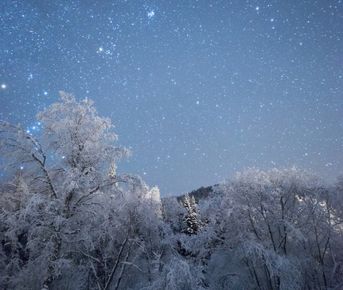 Новогодний снегоходный