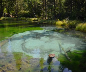 Знакомство с Алтаем.
