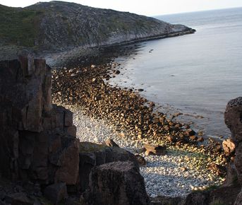 Гастротур. Арктическое изобилие.