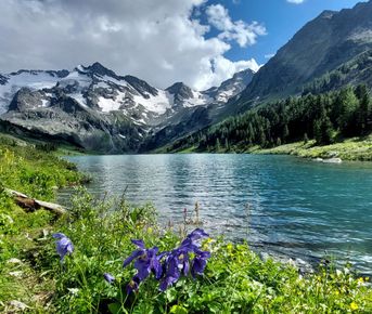 Треккинг на Алтай. Мультинские озёра