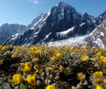«Нангма и Таллай Ла Трек»