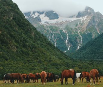 Однажды в горах Осетии и Ингушетии