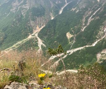 В горах мое сердце 