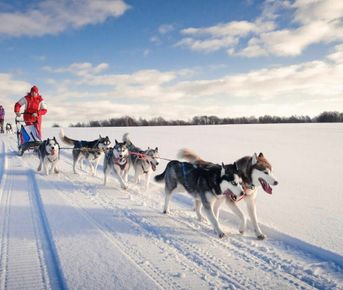 Мурманская область