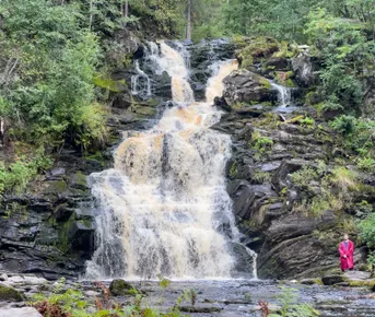 Перезагрузка: Топ места и Домики на берегу. Комфорт +