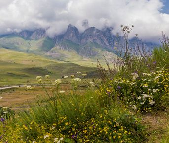 Активный тур. Прогулки в горах Осетии и Ингушетии
