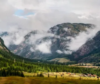 Экспедиция в Монголию