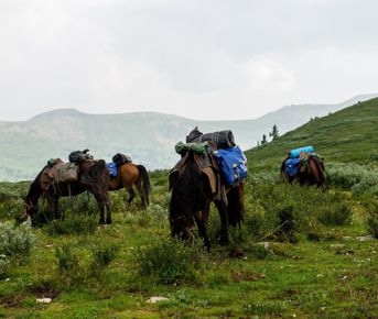 Конный тур к Каракольским озерам и нижняя Катунь