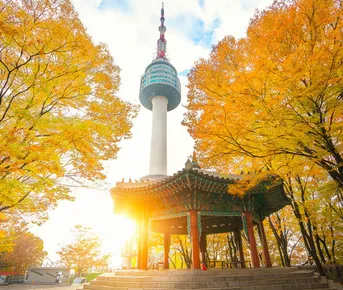 Осень в Корее. Сеул, Пусан + остров Чеджу