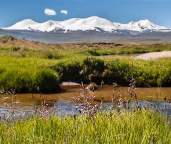 Непостижимое сердце Укока за 4 дня