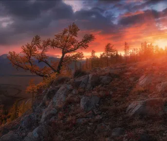 Алтай по маршруту  National Geographic