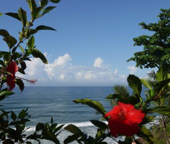 Тропическая Керала на Новый год