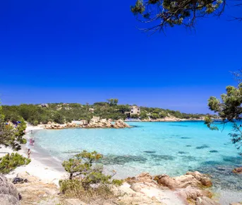 Сардиния - Корсика. All Inclusive