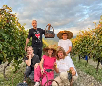 Ртвели В Винной Кахетии 2026  праздник сбора урожая