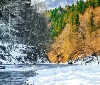 Новогодний тур 2026