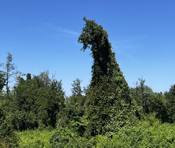 ЮЖНЫЙ ДАГЕСТАН / 5 ДНЕЙ