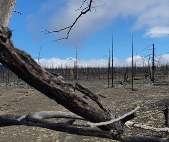 Страна извержений ! Толбачик- другая планета