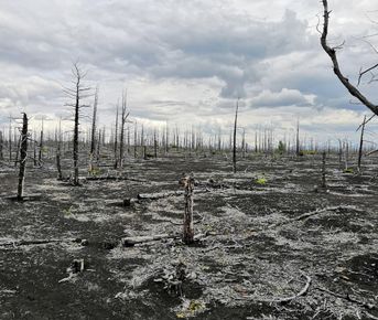 Джип тур к вулкану Толбачик