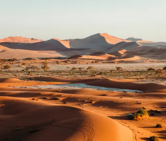 Джип-сафари: встреча с дикой природой Намибии
