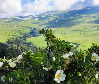 Relax в Адыгее. SPA-тур и активити