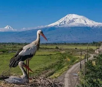 Суперблиц в Ереван!