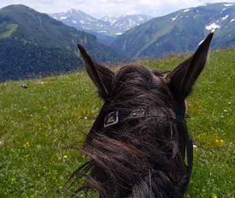Конный тур в Адыгее. Зима, весна 