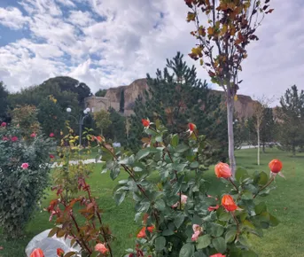 Суперблиц в Самарканд!