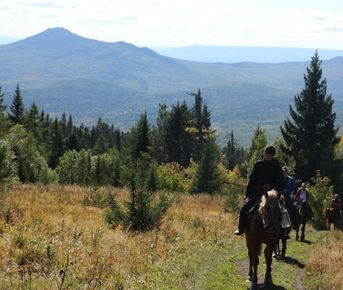 Конный тур Лесные сказки 4 дня/3 ночи