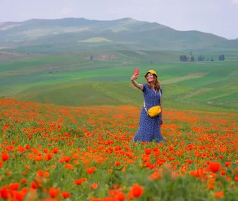 Цветение маков в Киргизии