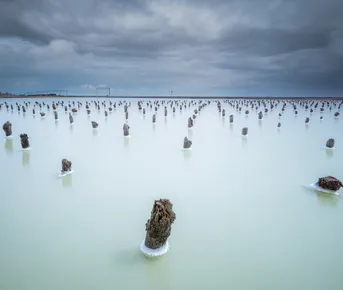 Тур на озера Эльтон и Баскунчак