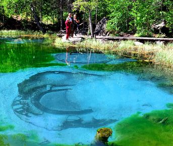 Путешествие на Алтай. 25 локаций за 8 дней