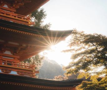 Япония. Традиции и технологии