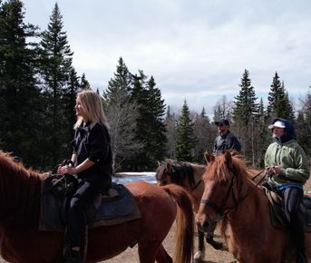 Джипинг-конный мультитур 3 дня/2 ночи