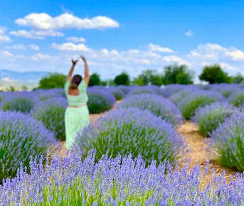 Лавандовые поля, Памуккале, Каппадокия - 8 дней красоты
