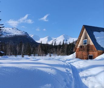 Фрирайд в долине Высокогорного (Лужба)