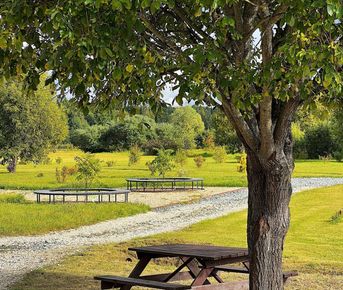 Четырёхдневный тур «Увидеть всё!»