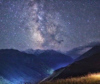 Горные цветы и бесконечное звездное небо