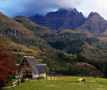 Оздоровительный тур в ЮАР в Драконовы горы.