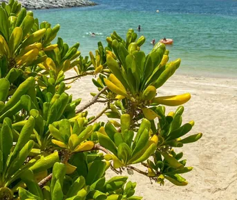 Девичник в Дубае